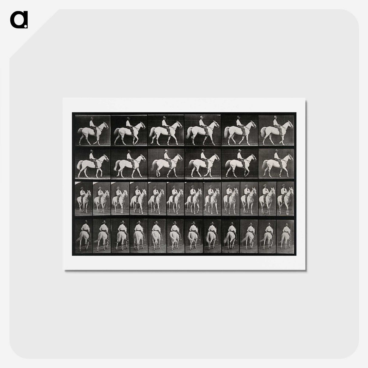 3-28_Eadweard-Muybridge_hagaki