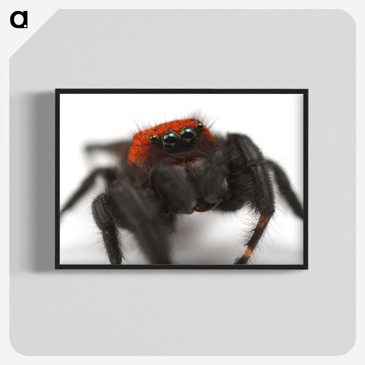 3-28_Insects-Unlocked-Project_blk-crop