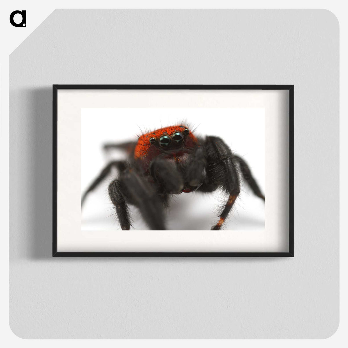 3-28_Insects-Unlocked-Project_blk