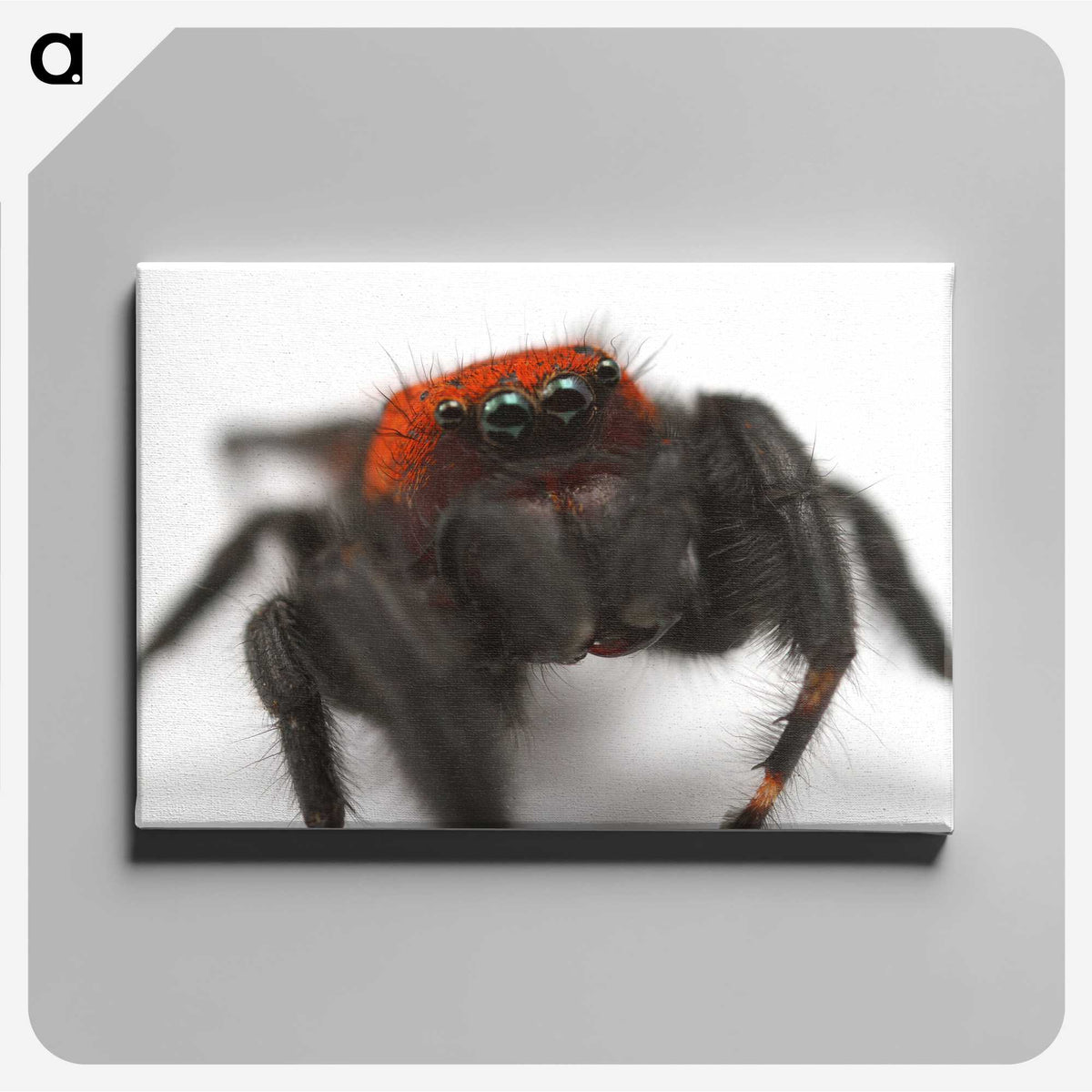 3-28_Insects-Unlocked-Project_canvas