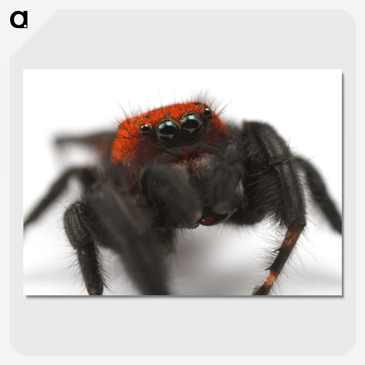 3-28_Insects-Unlocked-Project_picture-crop
