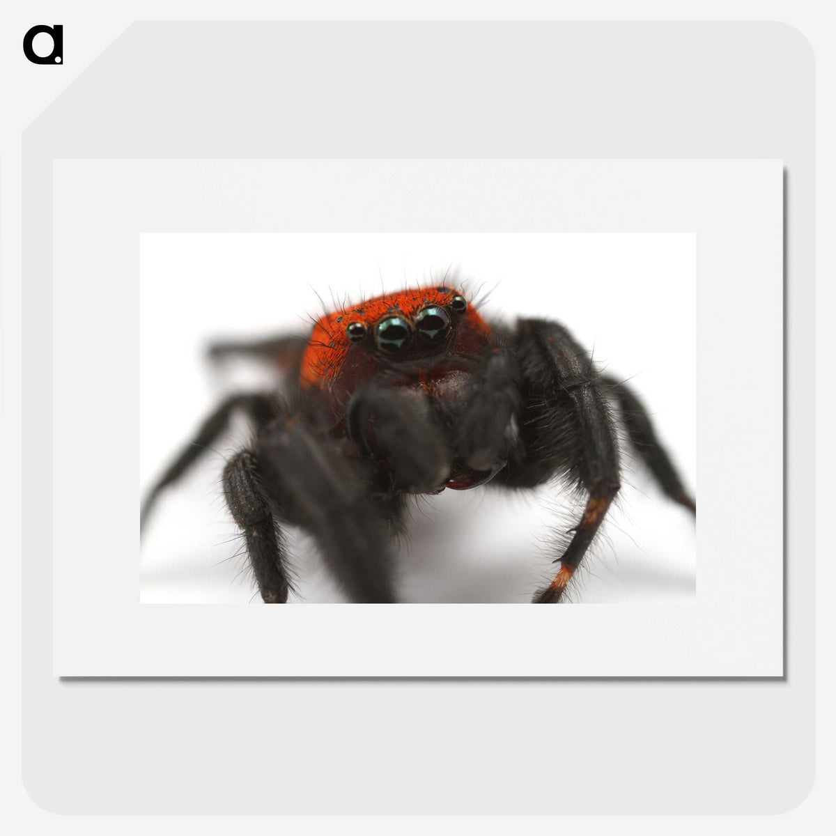 3-28_Insects-Unlocked-Project_picture