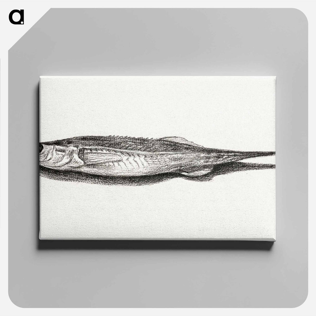 アートパネル-Fish - ジャン ベルナール Canvas.