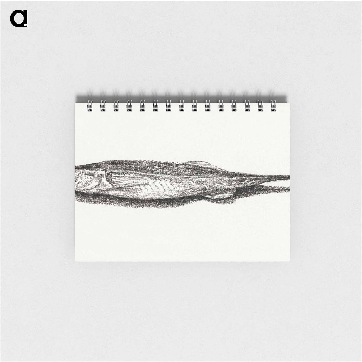 Fish - ジャン ベルナール Memo.