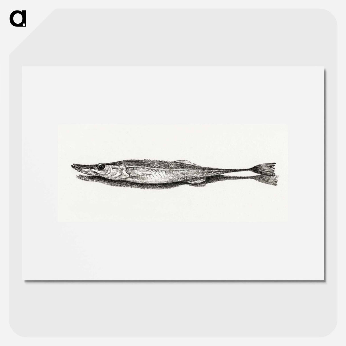 Fish - ジャン ベルナール Poster.