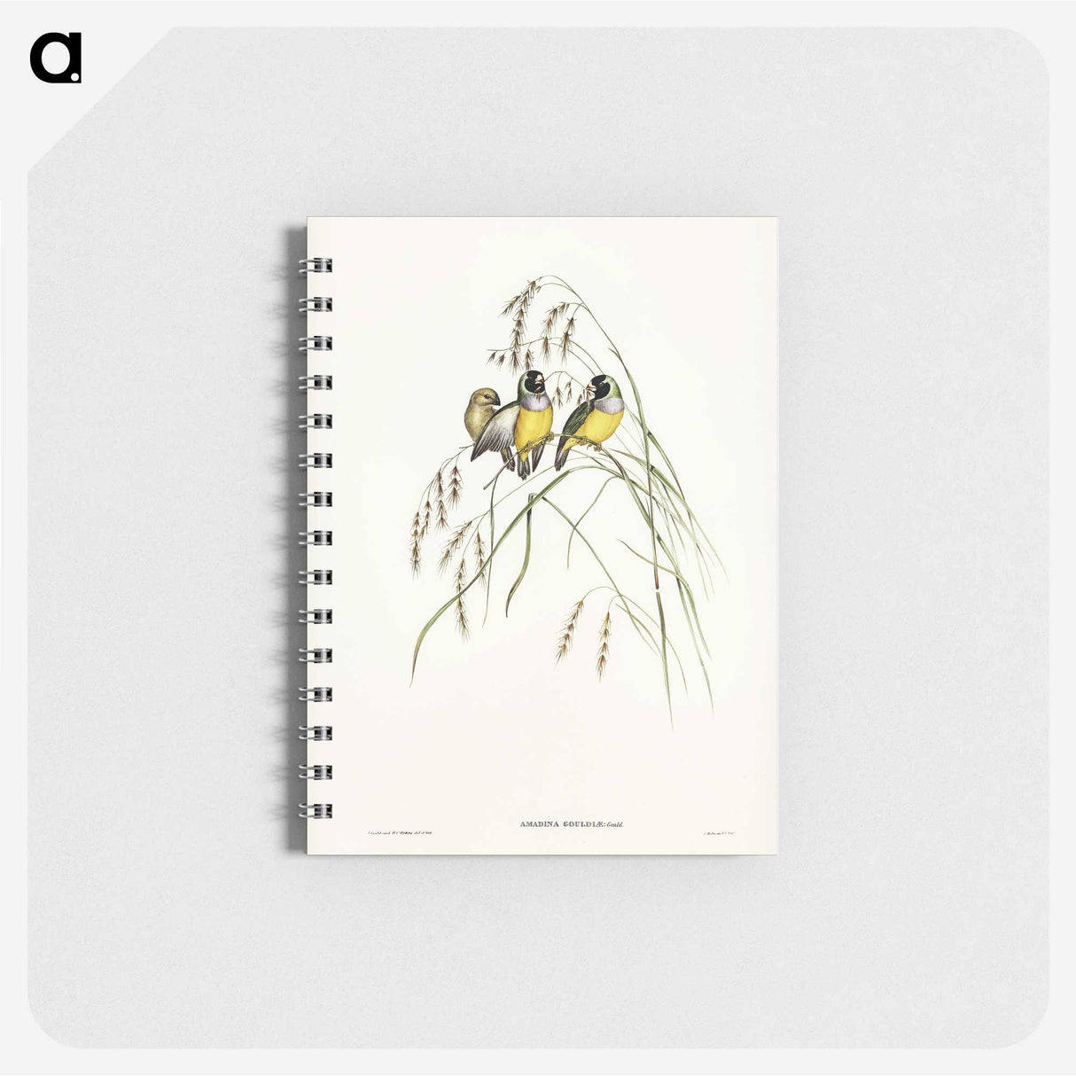 3-28_John-Gould_memo