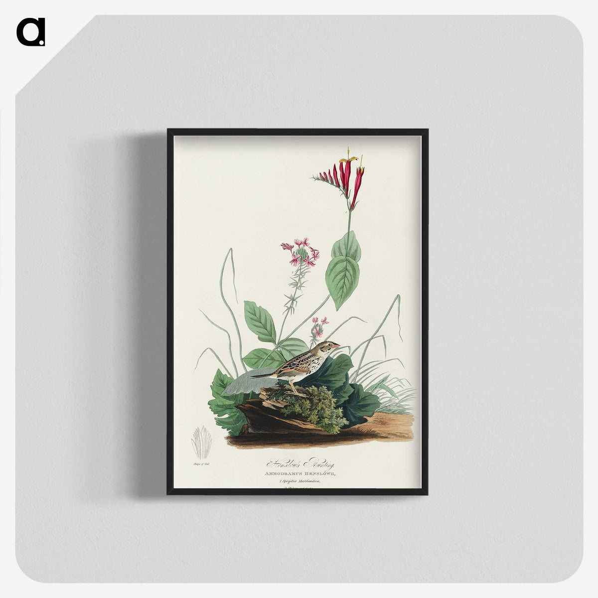 3-28_John-James-Audubon_blk-crop