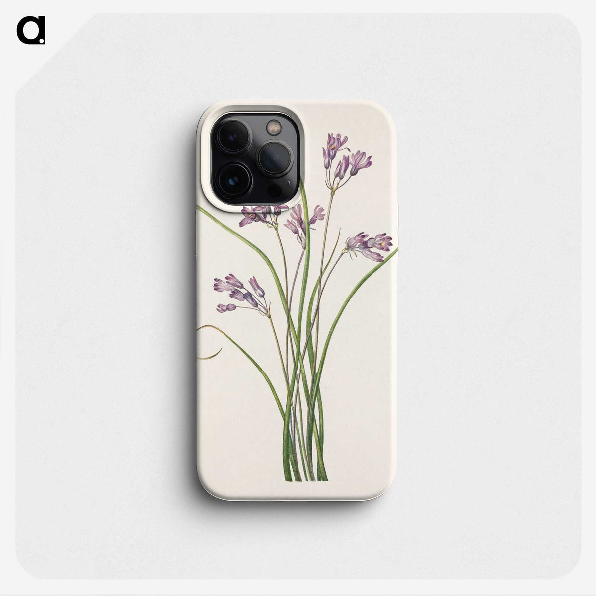 3-28_Mary-Vaux-Walcott_phone
