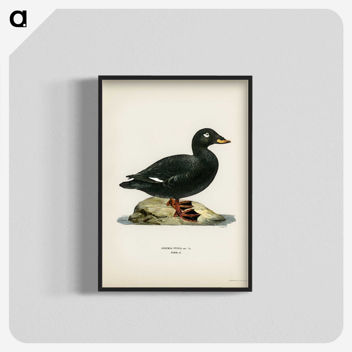 3-28_Svenska-Faglar_blk-crop