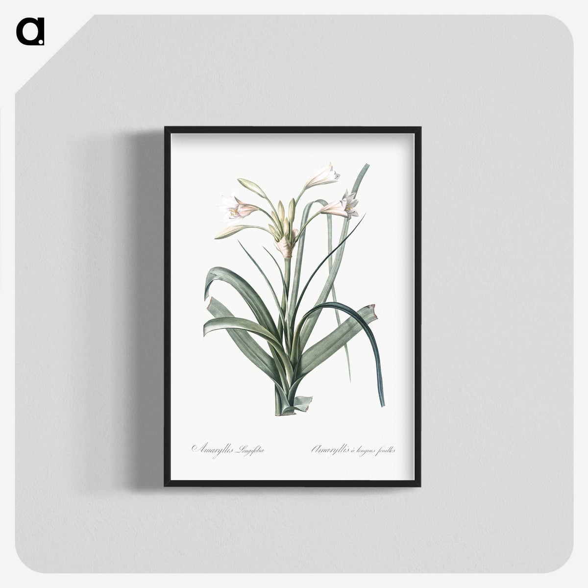 3-28_The-Lilies_blk-crop