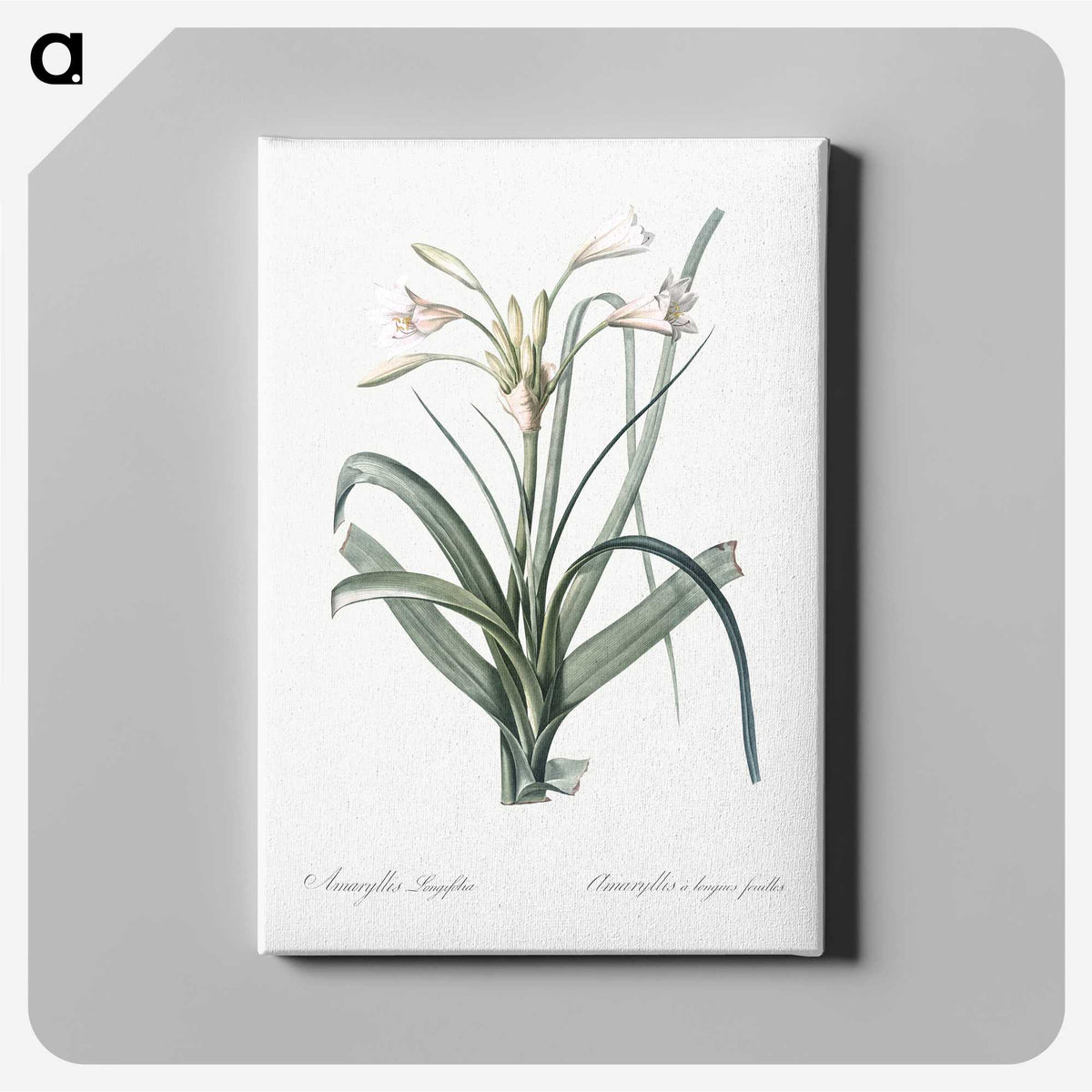 3-28_The-Lilies_canvas
