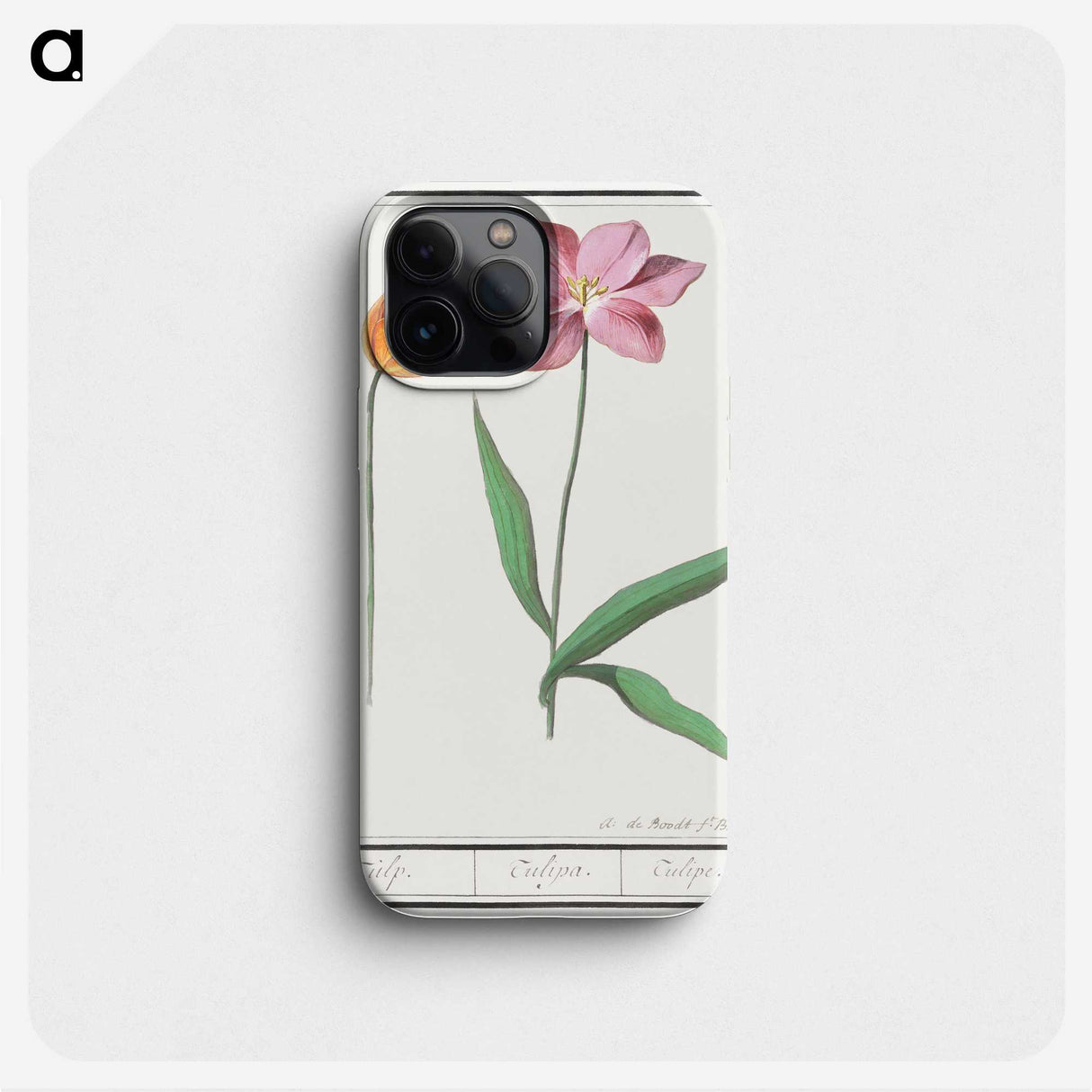 3-29_Anselmus-Boetius-de-Boodt_phone