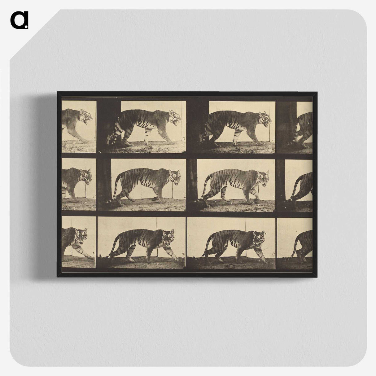 3-29_Eadweard-Muybridge_blk-crop