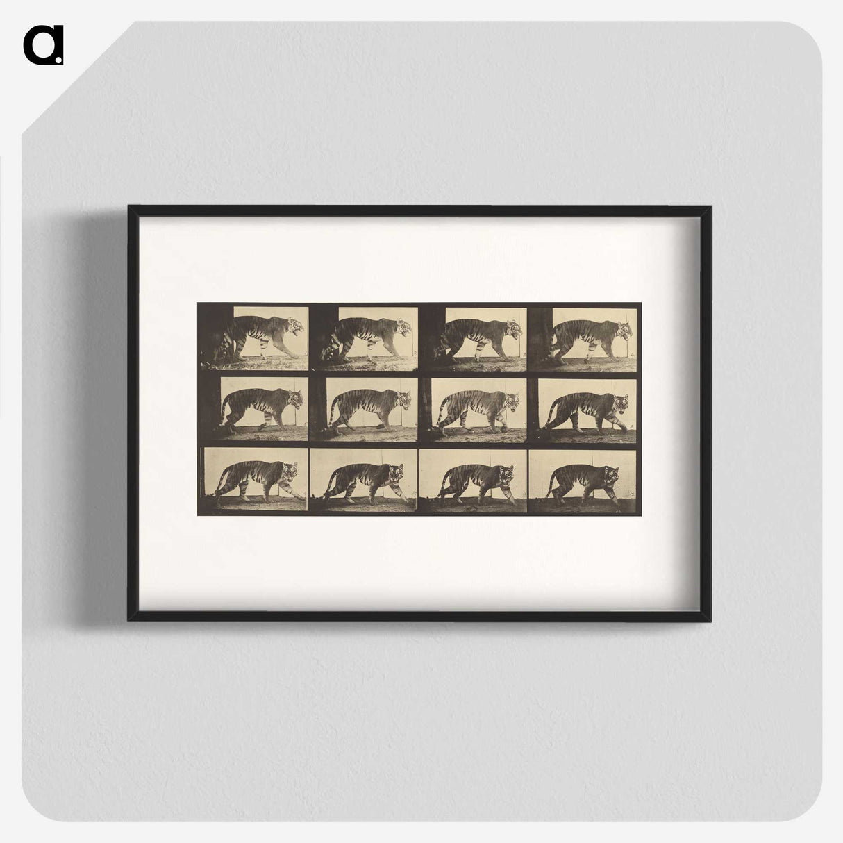 3-29_Eadweard-Muybridge_blk