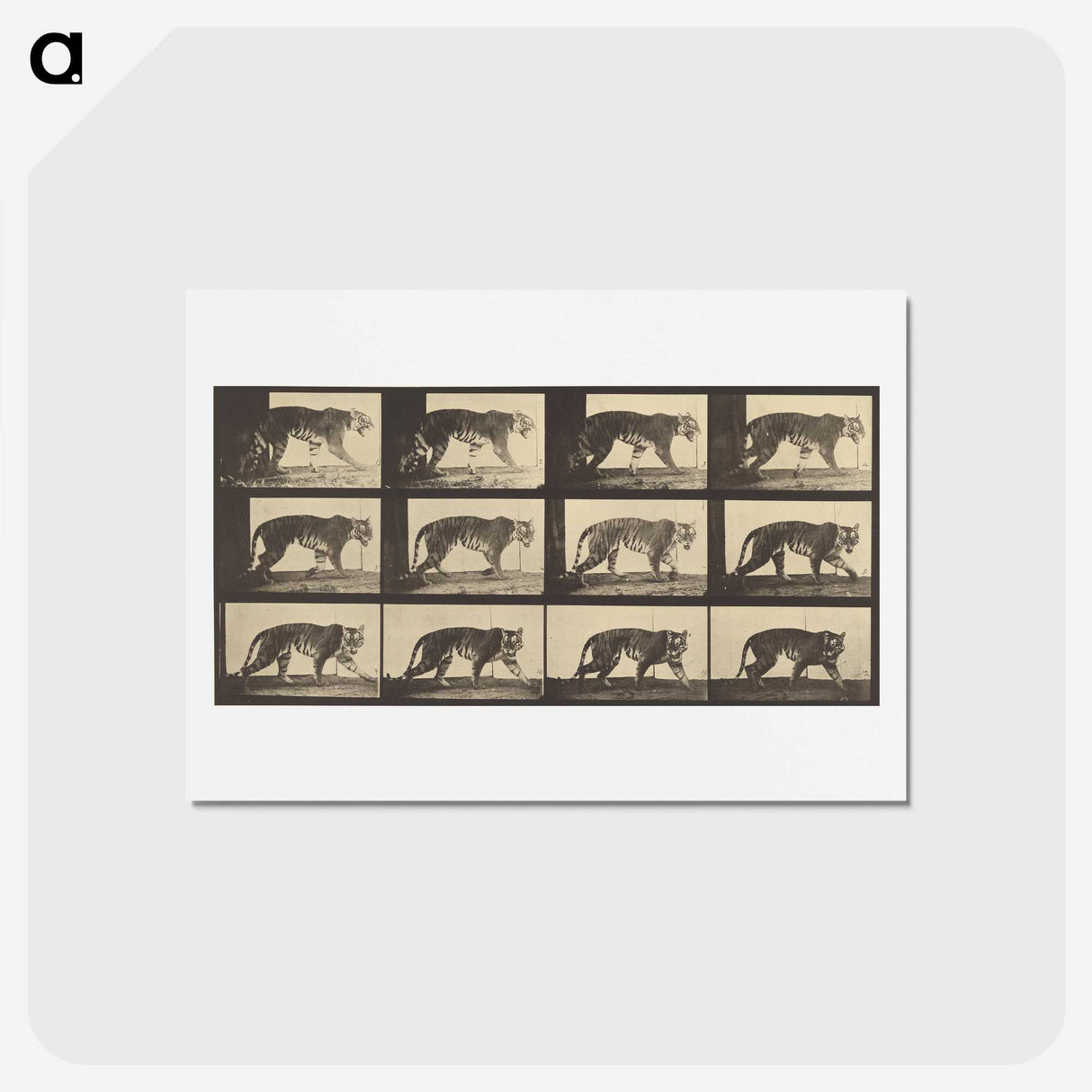 3-29_Eadweard-Muybridge_hagaki