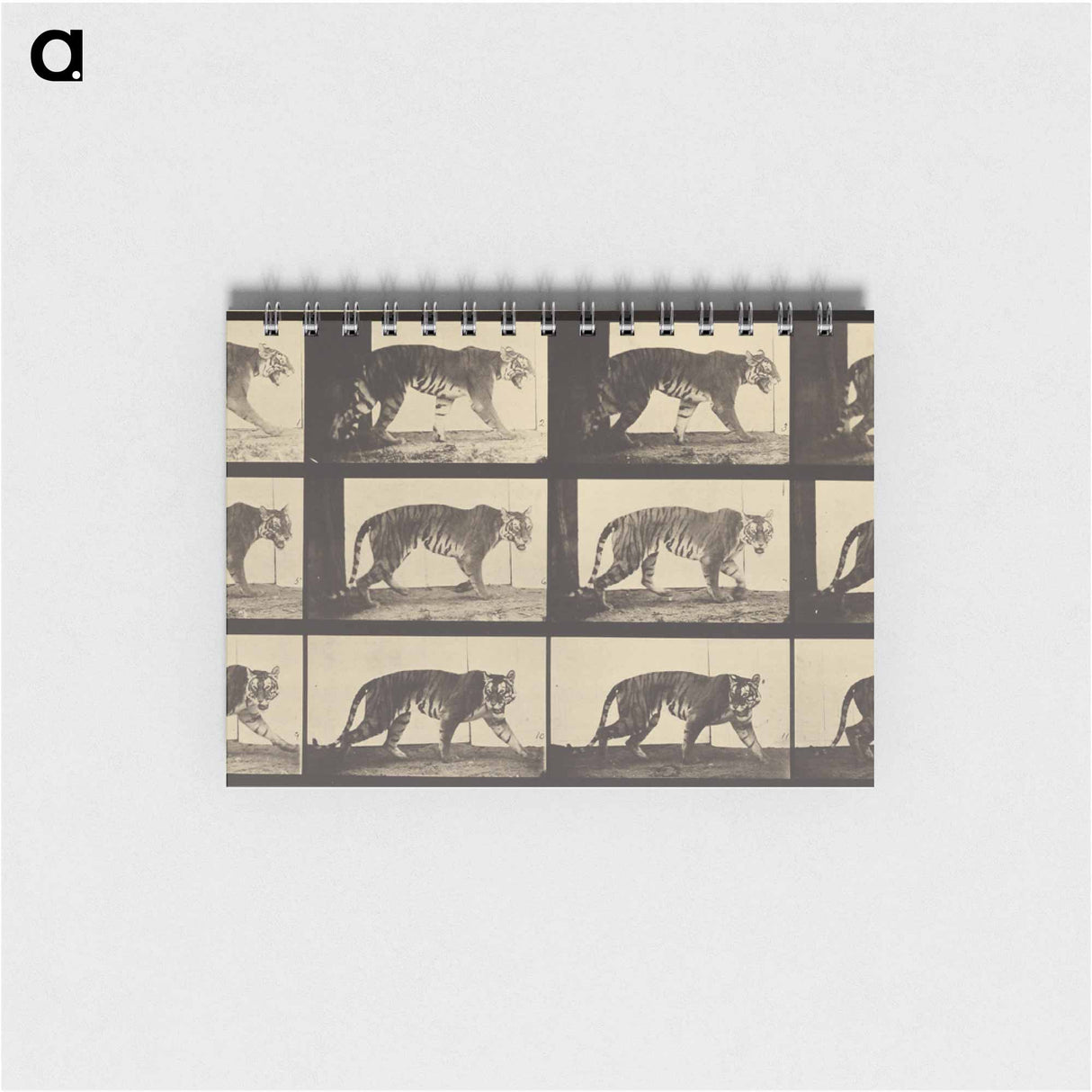 アートメモ帳-Animal Locomotion
- エドワード マイブリッジ Memo.