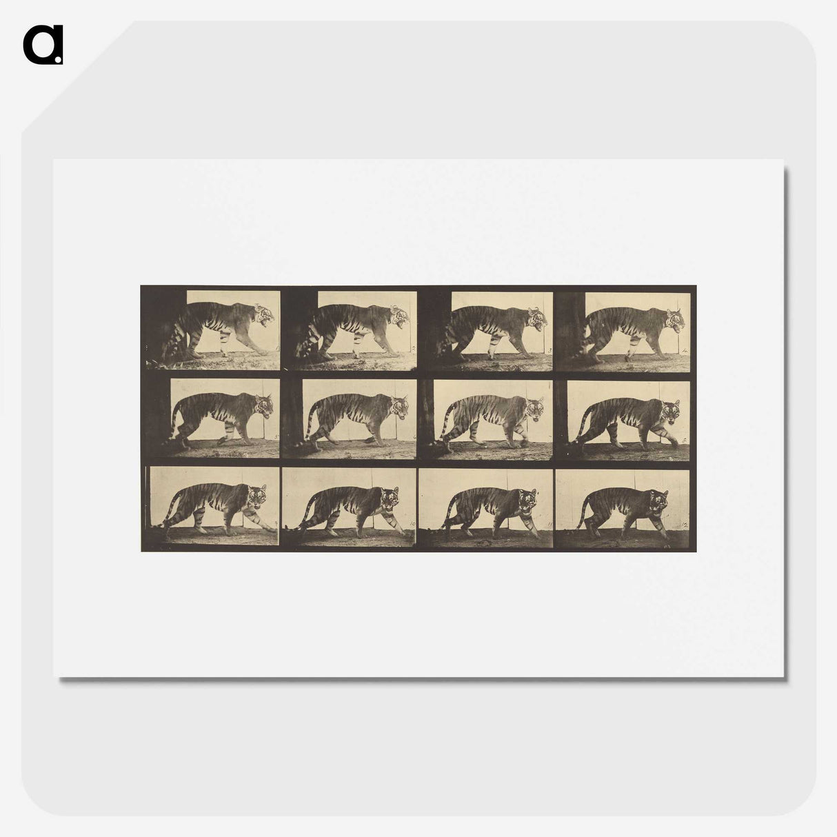 3-29_Eadweard-Muybridge_picture