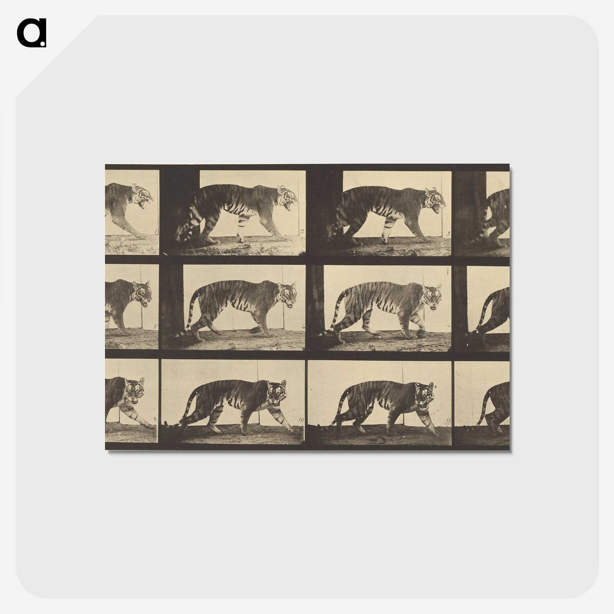 3-29_Eadweard-Muybridge_postcard
