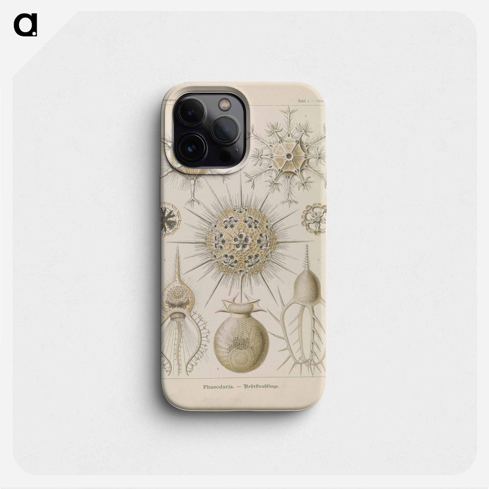 Marine life illustration - エルンスト ヘッケル Phone Case.