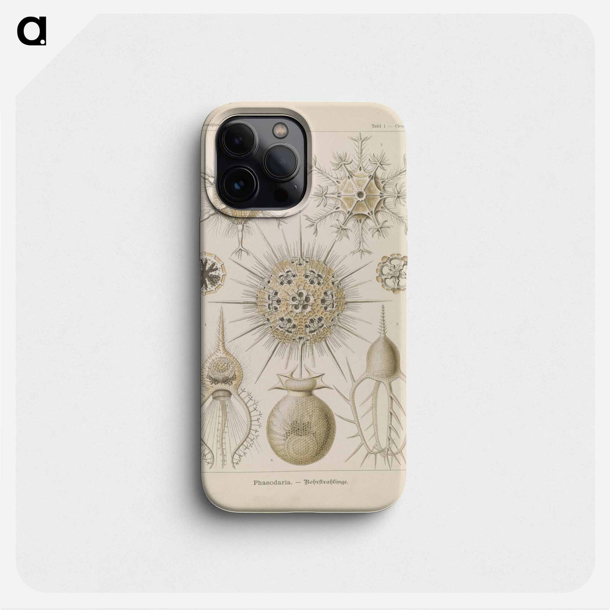 Marine life illustration - エルンスト ヘッケル Phone Case.