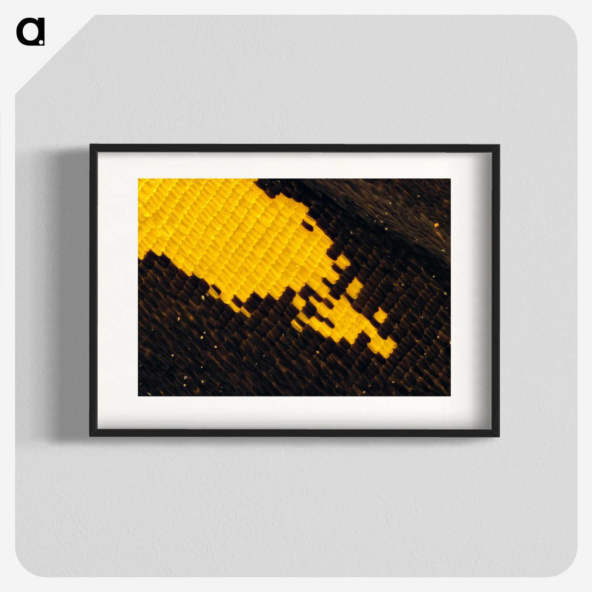 3-29_Insects-Unlocked-Project_blk