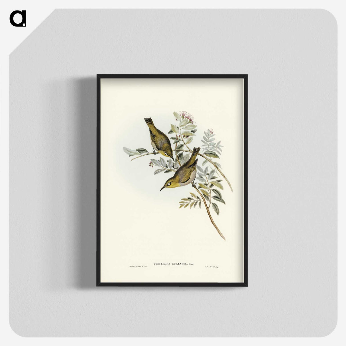 3-29_John-Gould_blk-crop