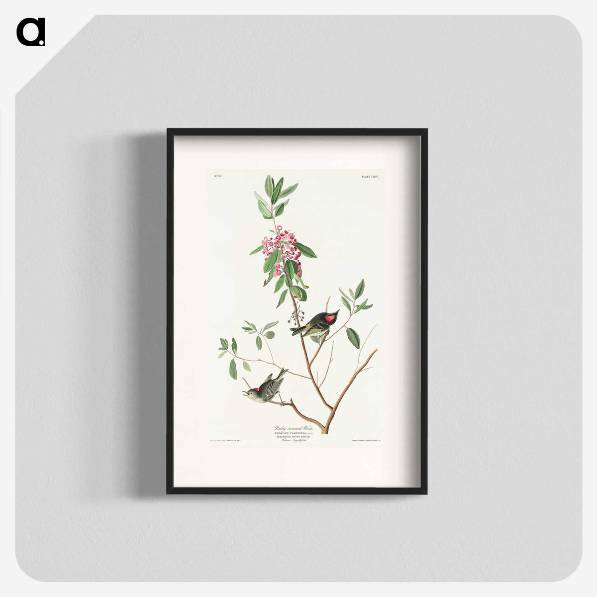 3-29_John-James-Audubon_blk