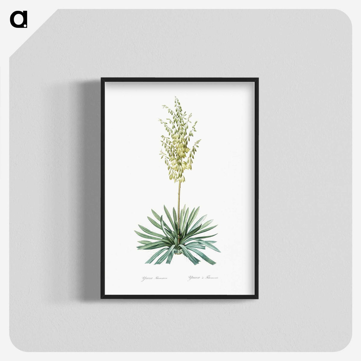 3-29_The-Lilies_blk-crop