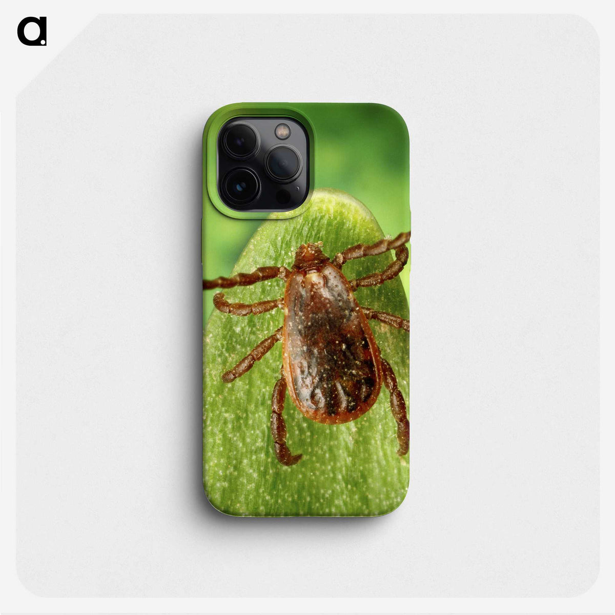 3-2_COVID-19_phone
