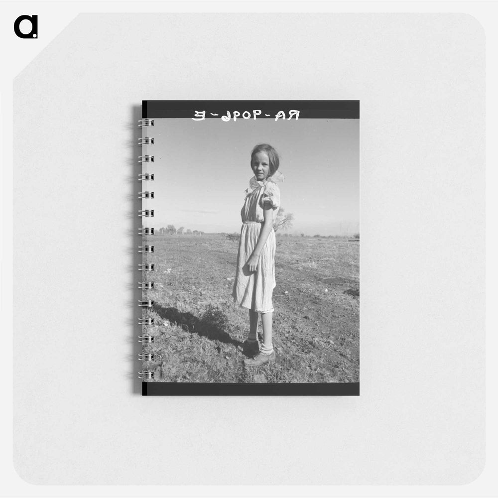 Resettled child of Bosque Farms, New Mexico. She herds cows for neighboring families for five cents per day - ドロテア ラング Memo.