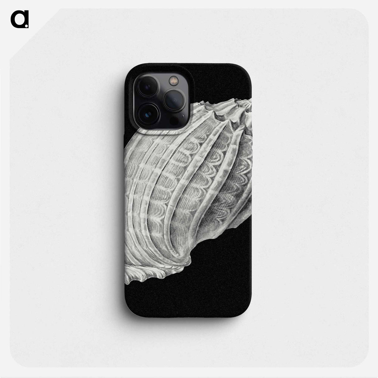Vintage shell marine life illustration - エルンスト ヘッケル Phone Case.
