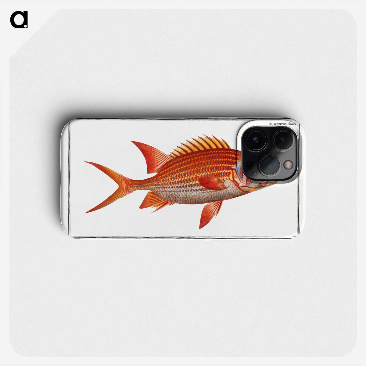 3-2_Ichtyologie-ou-Histoire-naturelle_phone