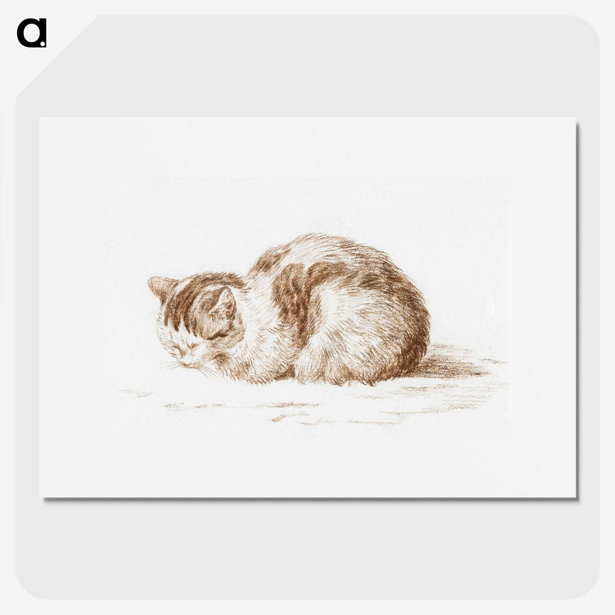 3-2_Jean-Bernard_picture