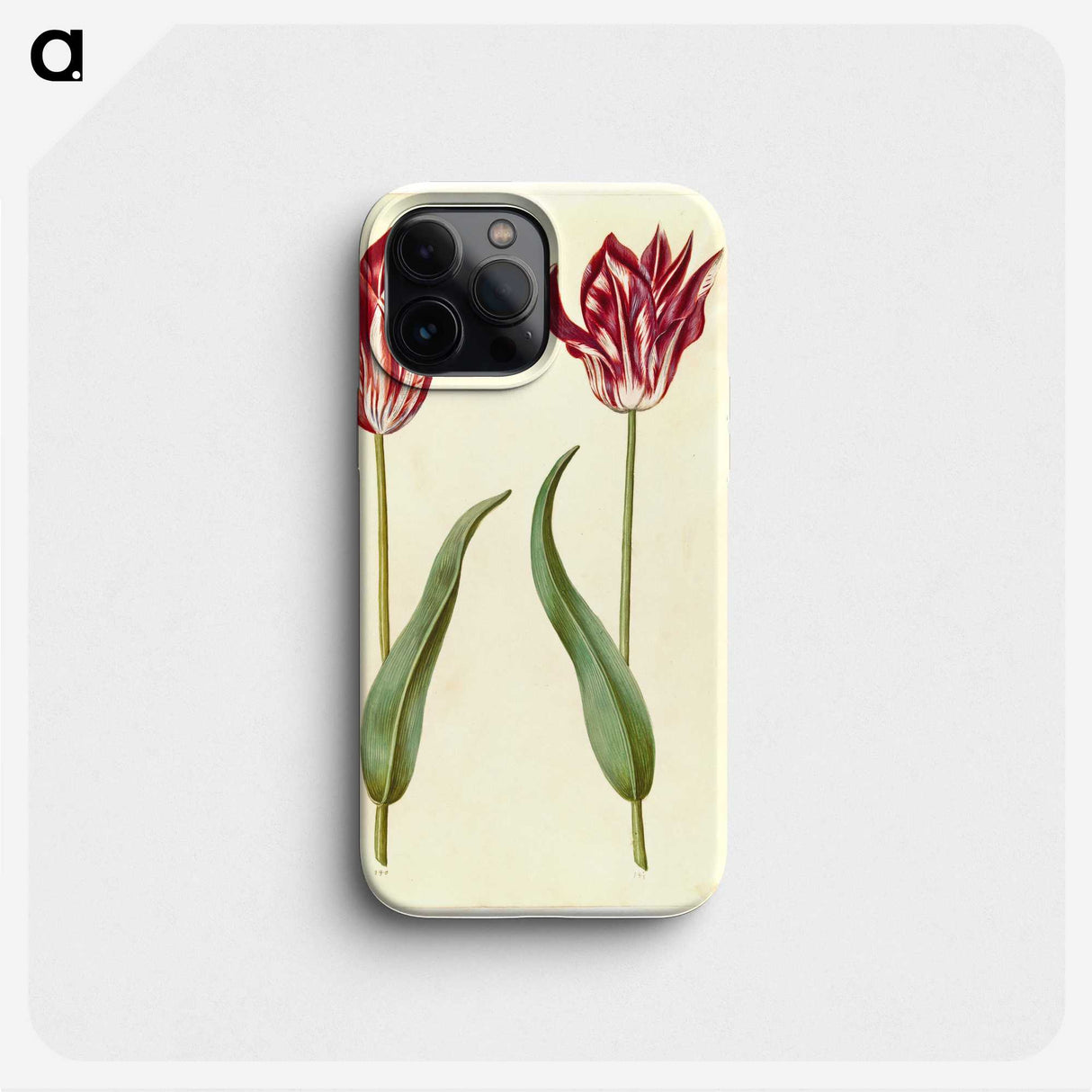3-2_Maria-Sibylla-Merian_phone