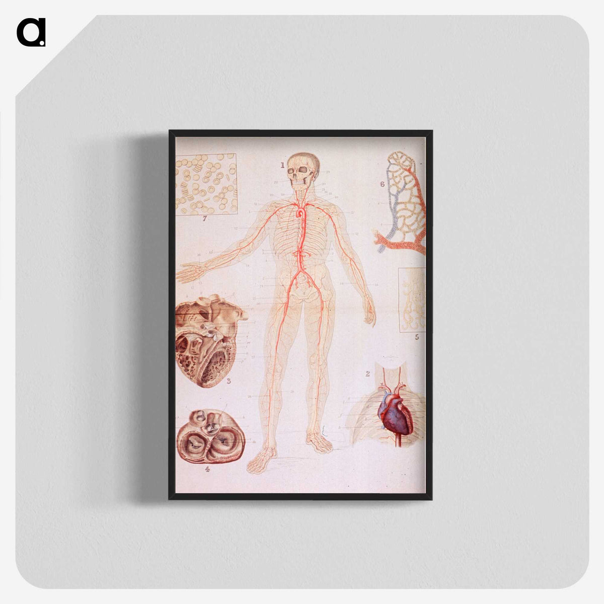 3-2_National-Library-of-Medicine_blk-crop