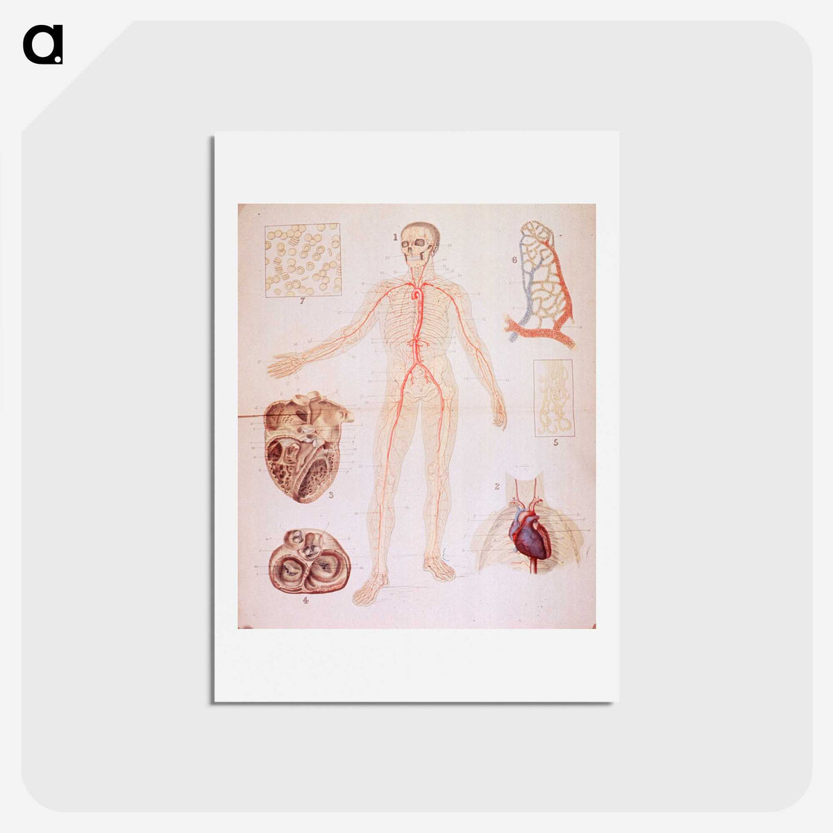 3-2_National-Library-of-Medicine_hagaki