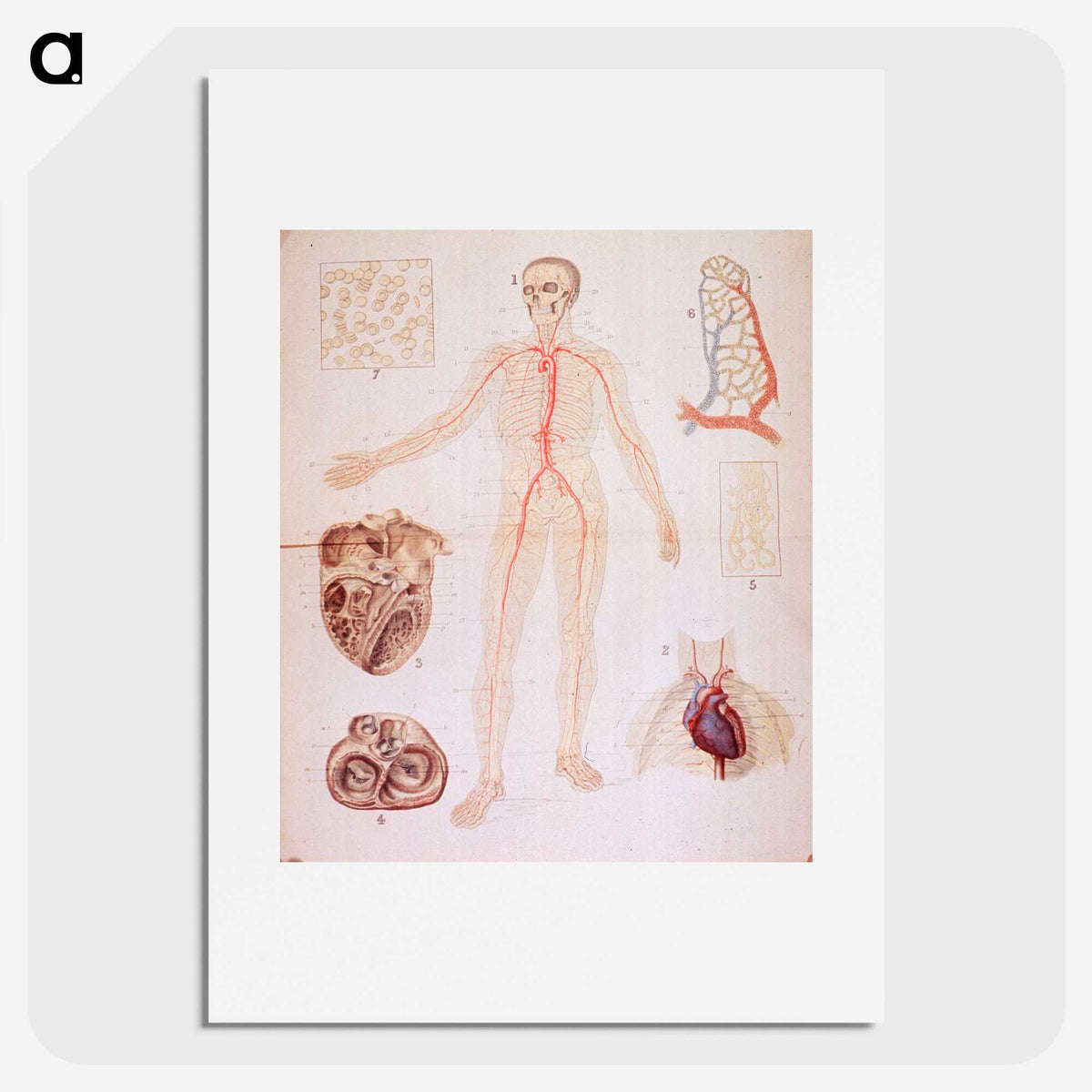 3-2_National-Library-of-Medicine_picture