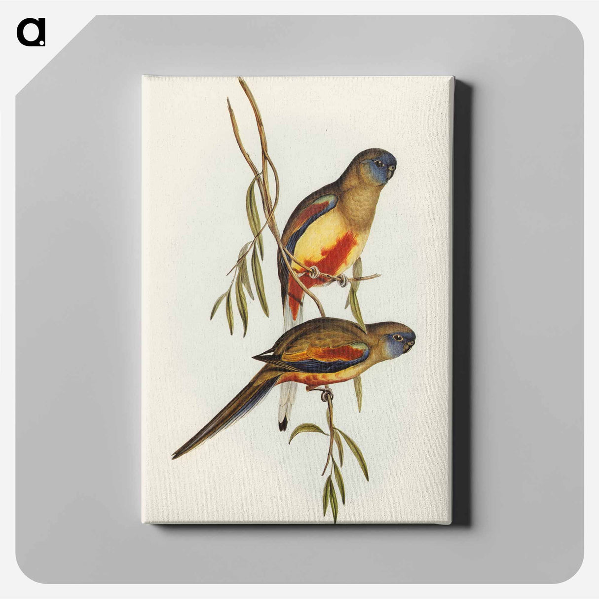 アートパネル-Crimson-bellied Parakeet
- オーストラリアの鳥 Canvas.