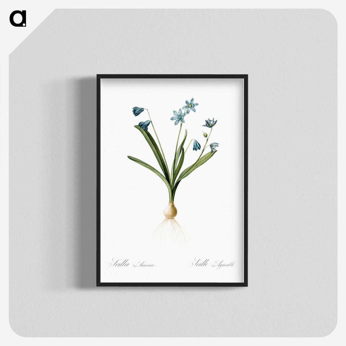 3-2_The-Lilies_blk-crop