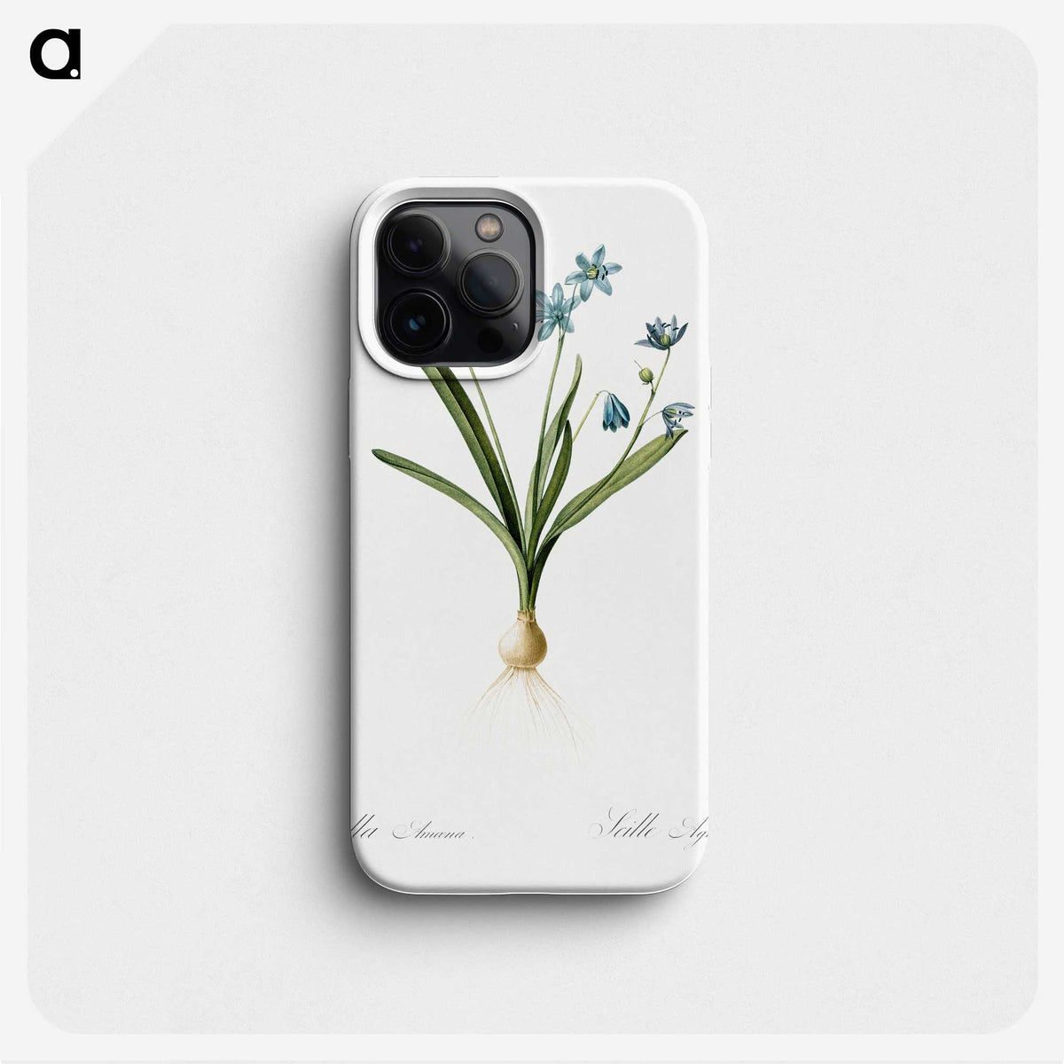 3-2_The-Lilies_phone