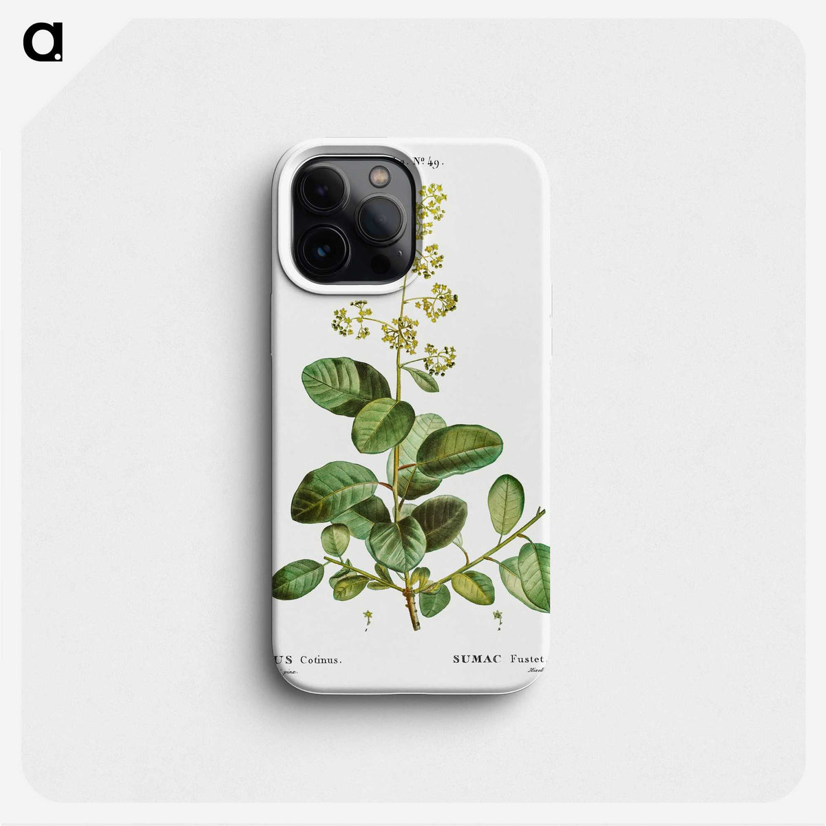 3-2_Treatise-on-Trees-and-Shrubs_phone