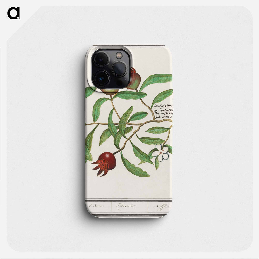 Mispel, Mespilus germanica - アンセルムス ボエティウス デ ブート Phone Case.