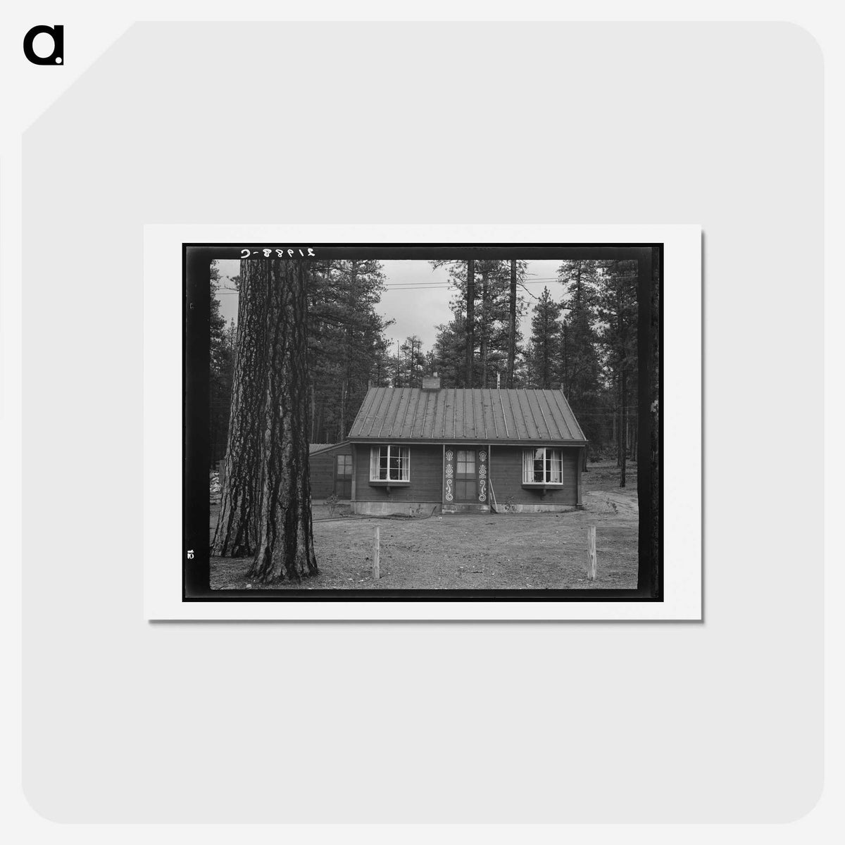 3-30_Dorothea-Lange_hagaki