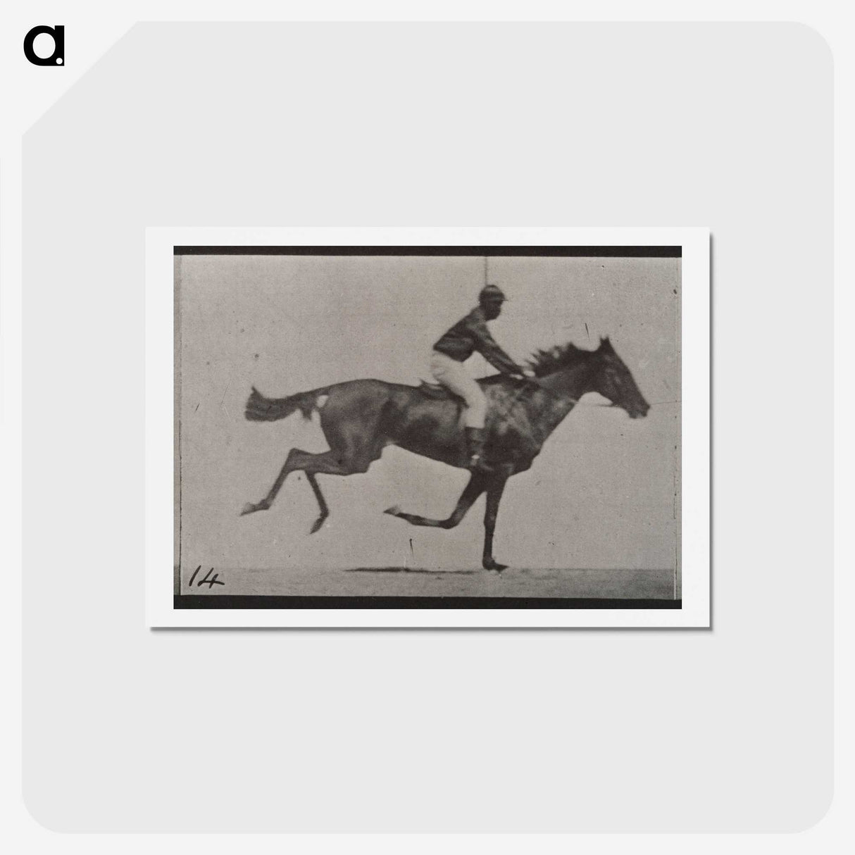 3-30_Eadweard-Muybridge_hagaki