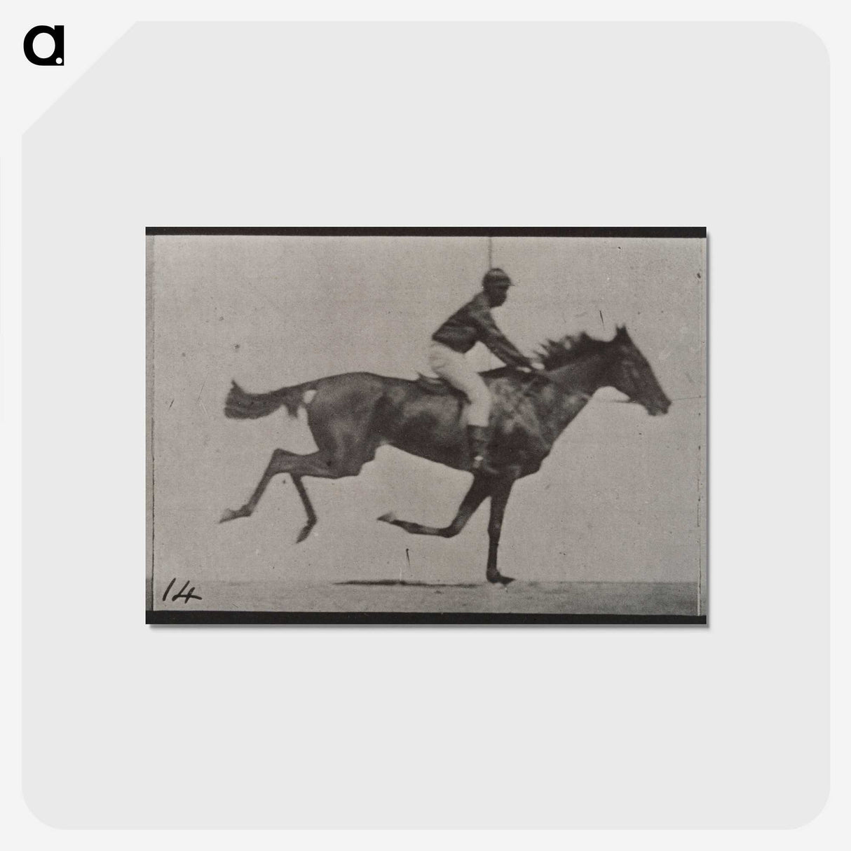 3-30_Eadweard-Muybridge_postcard