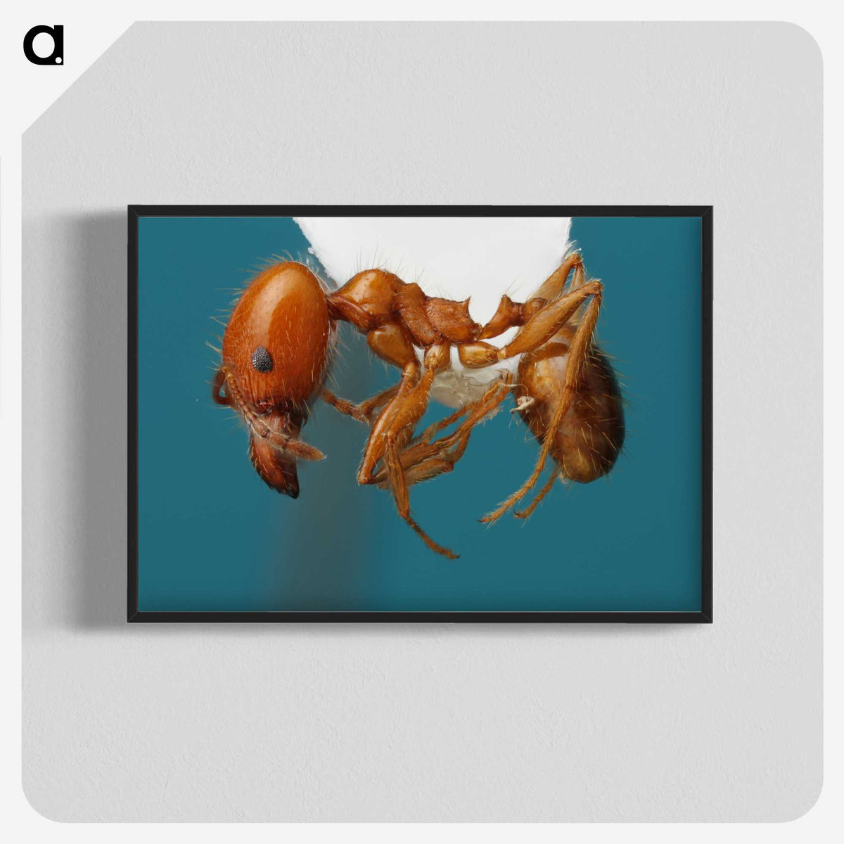 3-30_Insects-Unlocked-Project_blk-crop