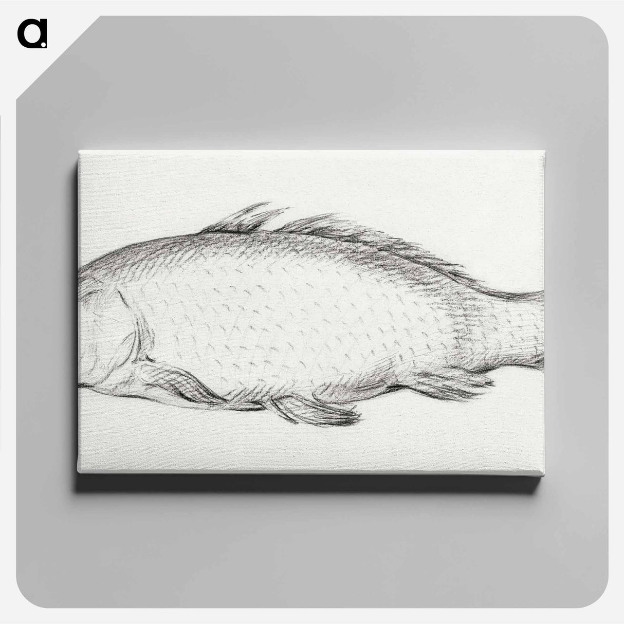 アートパネル-Fish - ジャン ベルナール Canvas.