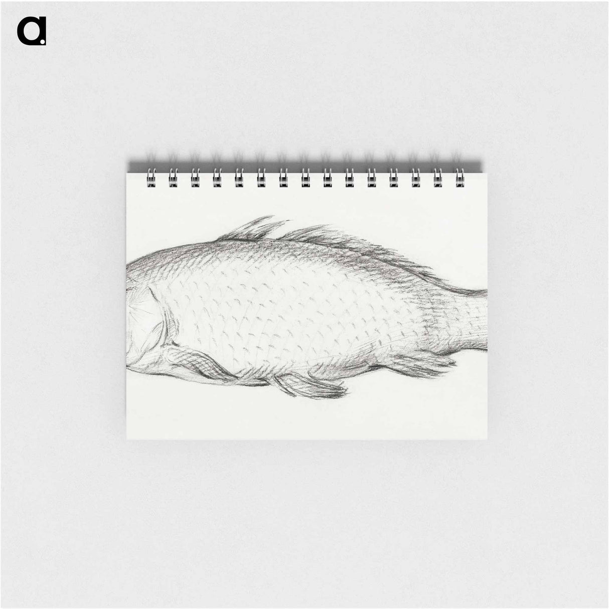 Fish - ジャン ベルナール Memo.