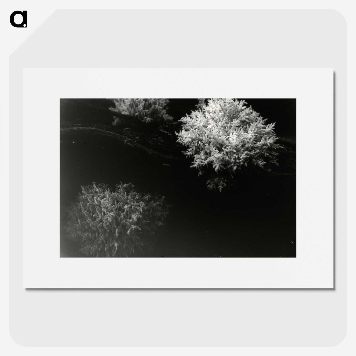 3-30_Leslie-Adkin_picture