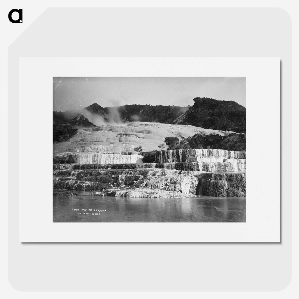 3-30_The-Burton-Brothers_picture